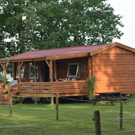 Апартаменти Tiny House Het Reebokje Врісхело Екстер'єр фото
