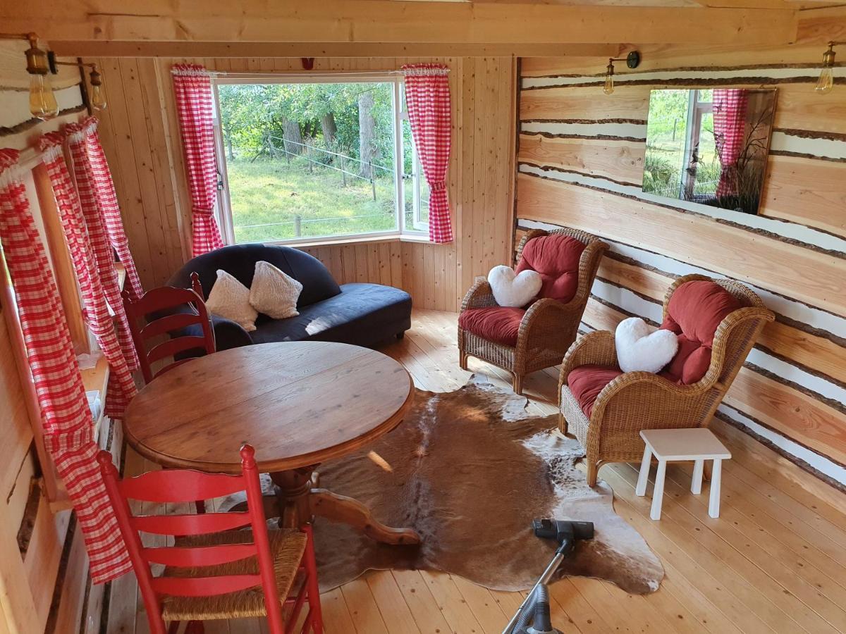 Апартаменти Tiny House Het Reebokje Врісхело Екстер'єр фото