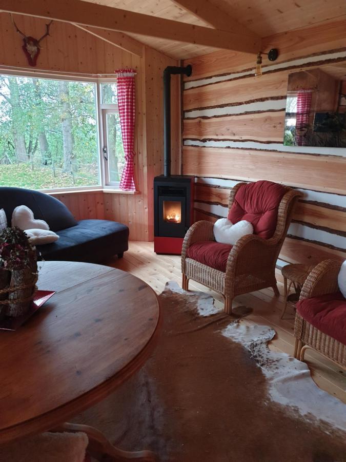 Апартаменти Tiny House Het Reebokje Врісхело Екстер'єр фото