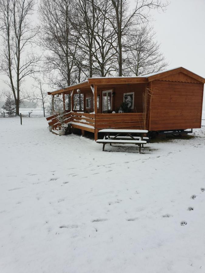 Апартаменти Tiny House Het Reebokje Врісхело Екстер'єр фото